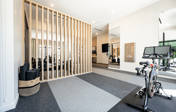 Yoga and spin studio